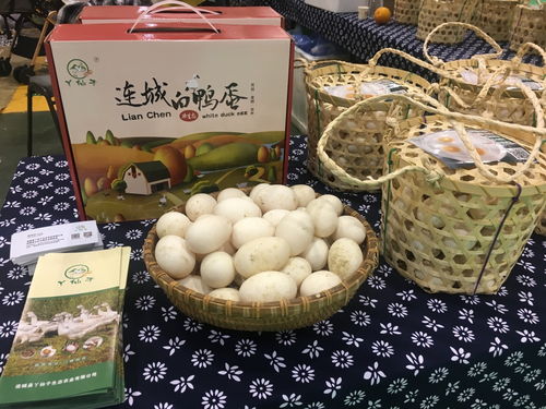 2018 特食展 特色 特有 特种食品大联展