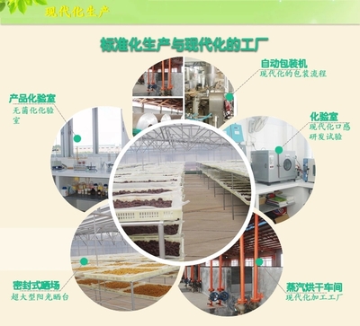 【同享】食品岭南特色广式加应子蜜饯果脯凉果类零食125g×10【全国包邮】