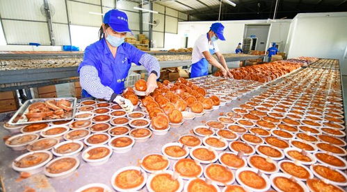 云南弥勒 特色手工红糖生产忙，传承美味与匠心