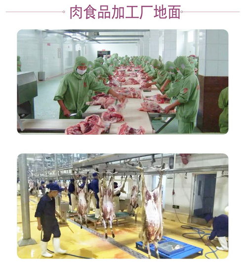 聚氨酯地坪在食品生产加工厂的应用特点